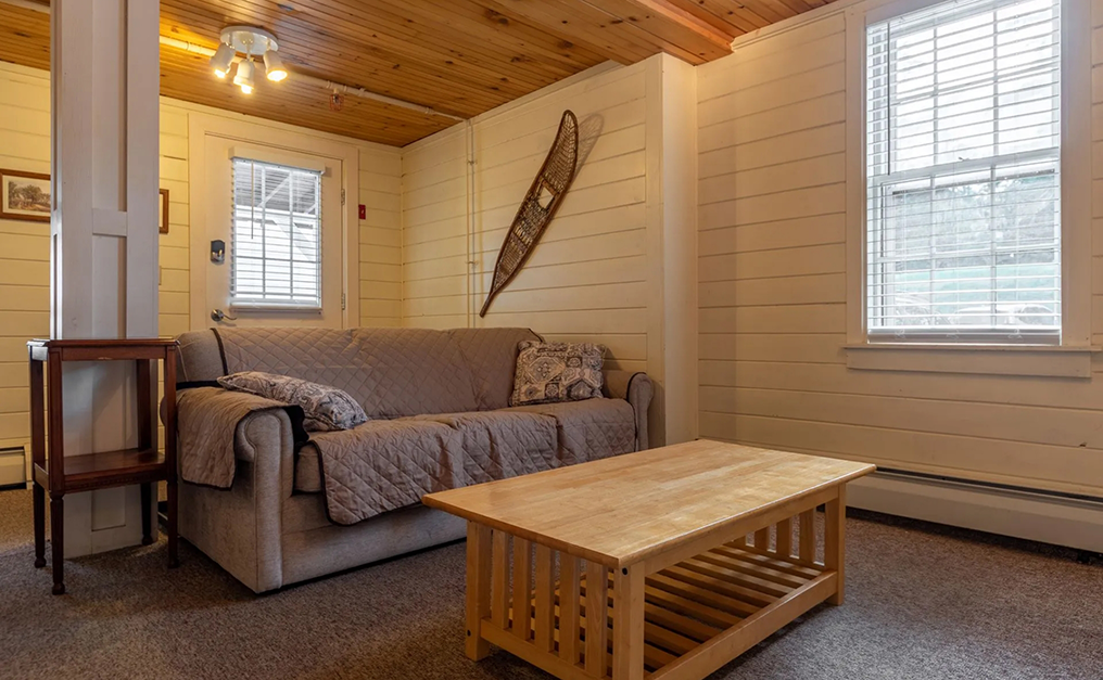 Soft gray couch and light wood coffee table