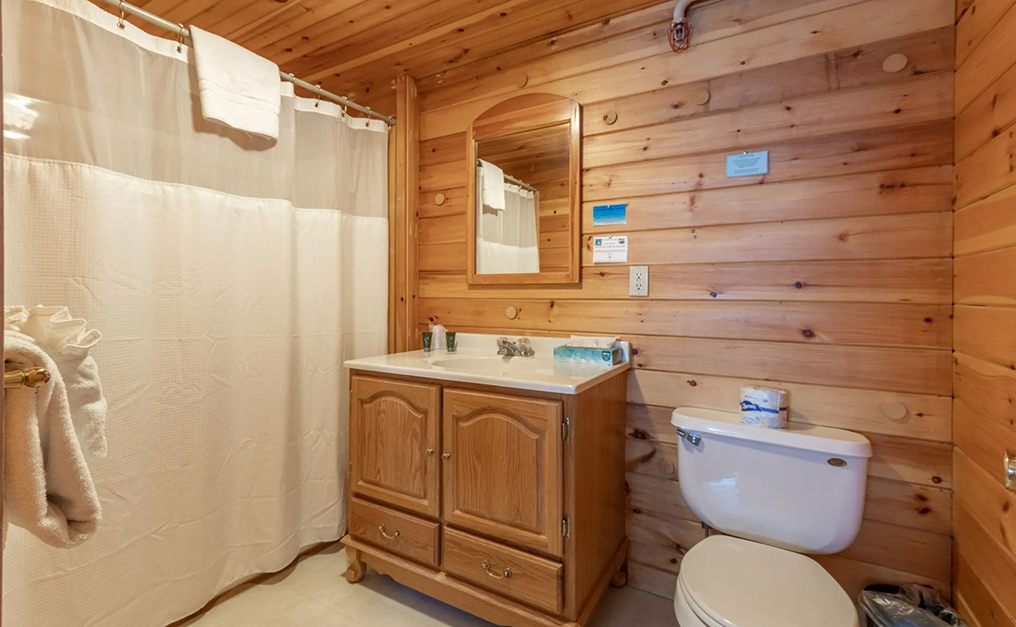 Bathroom with wooden walls