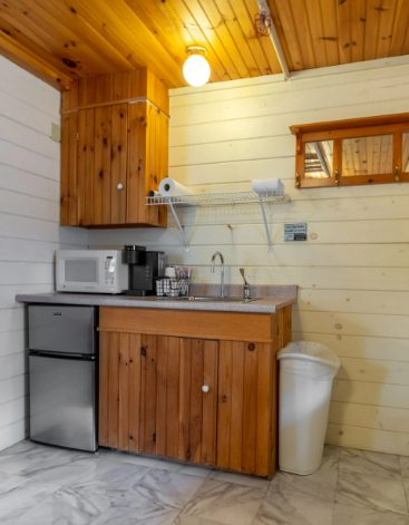 Sink mini fridge and wooden cabinet in corner of hotel room